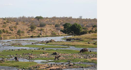 Ruaha River © Foto: Svenja Penzel | Outback Africa Erlebnisreisen Ruaha River © Foto: Svenja Penzel | Outback Africa Erlebnisreisen