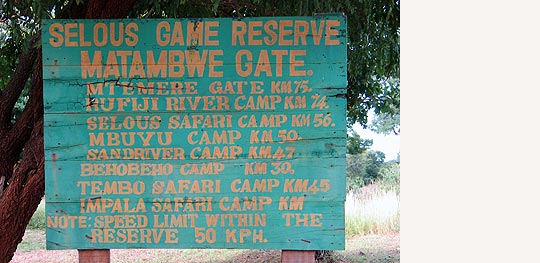 Selous Game Reserve © Foto: Svenja Penzel | Outback Africa Erlebnisreisen