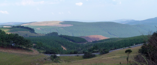 Unterwegs auf dem Long Tom Pass
