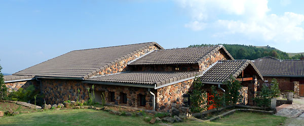Misty Mountain Lodge