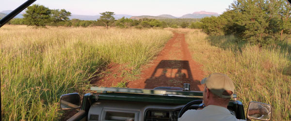 Auf Pirschfahrt in der Konzession der Hannah Game Lodge