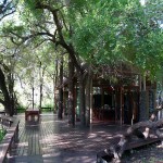 Essbereich in der Rhino Post Safari Lodge