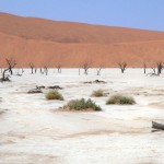 Wanderer im Dead Vlei © Foto: René Schmidt | Outback Africa Erlebnisreisen Namib-Wüste