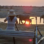 In Okaukuejo fotografieren Sie in der ersten Reihe © Foto: René Schmidt | Outback Africa Erlebnisreisen Etosha NP