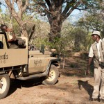 Kinder auf Safari