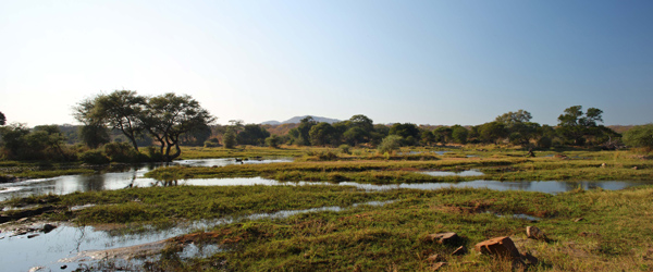 Ruaha Nationalpark