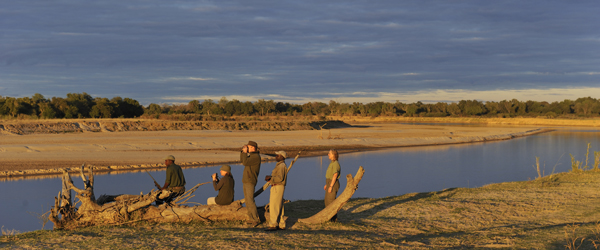 Pirschwanderung am Luangwa-River © Foto: Archiv Norman Carr Safaris