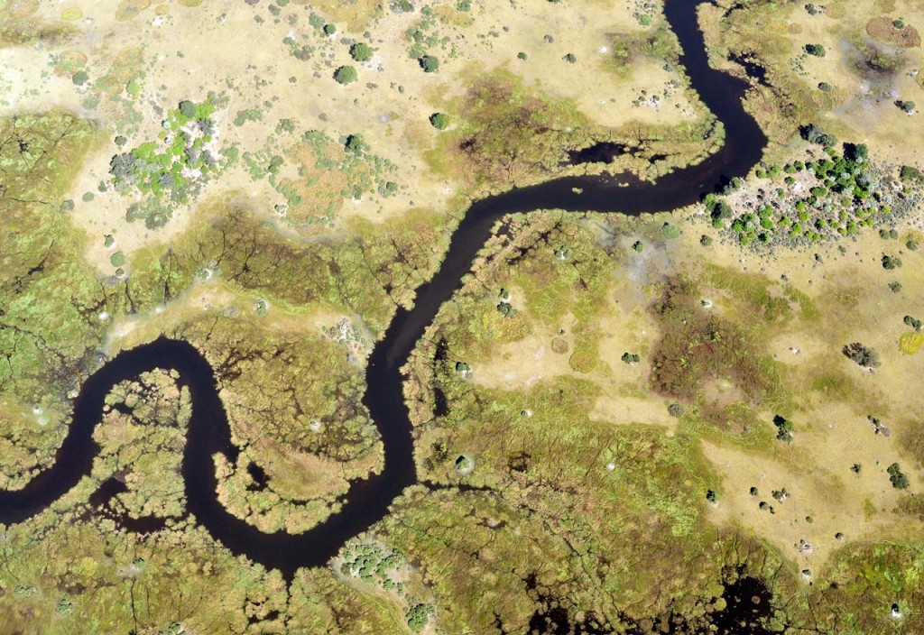 Okavango-Delta © Foto: Marco Penzel | Outback Africa Erlebnisreisen Okavango-Delta © Foto: Marco Penzel | Outback Africa Erlebnisreisen