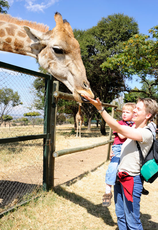 Lion Park in Johannesburg © Foto: Marco Penzel | Outback Africa Erlebnisreisen Lion Park in Johannesburg © Foto: Marco Penzel | Outback Africa Erlebnisreisen
