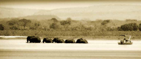 Siwandu, Boots-Safari