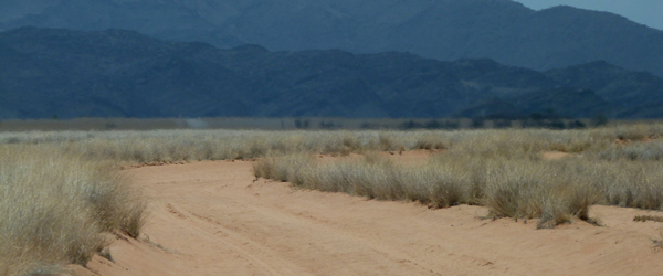 Sandpiste im Okahirongogebiet © Foto: Jens Döring | Outback Africa Erlebnisreisen