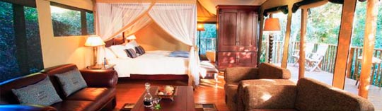Neue Zelt-Suite im Botlierskop Privatreservat (Südafrika) Neue Zelt-Suite im Botlierskop Privatreservat (Südafrika)