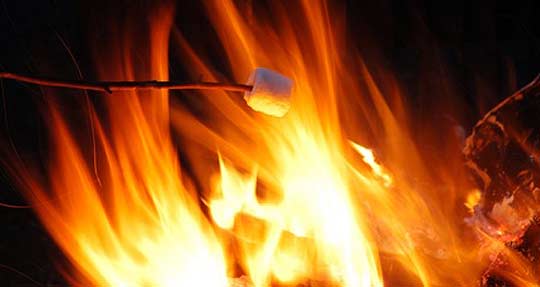 Marshmellow - zu deutsch Mäusespeck - im Lagerfeuer. Foto: Alan Dyck - Fotolia.com