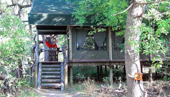 Zelt-Chalet der Motsentsela Tree Lodge, Maun | © Foto: Jens Döring, Outback Africa Erlebnisreisen