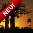 Gro�e Okavango-Rundreise