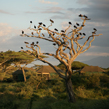 Lake Masek Tented Camp