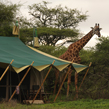 Nasikia Central Camp