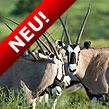 S�dafrika zwischen Diamanten und D�nen 