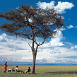 Massai Mara und Sansibar