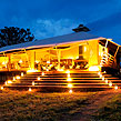 Serengeti Bushtops