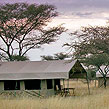 Serengeti, Ngorongoro und Sansibar