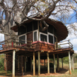 Tarangire Treetops