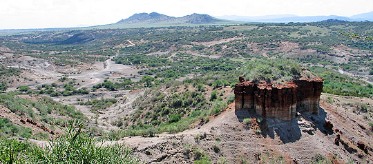Blick ins Olduvai-Tal. © Foto: Svenja Penzel