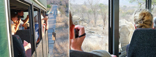 Tierbeobachtung vom Safari-Truck aus. © Fotos: René Schmidt | Outback Africa Erlebnisreisen