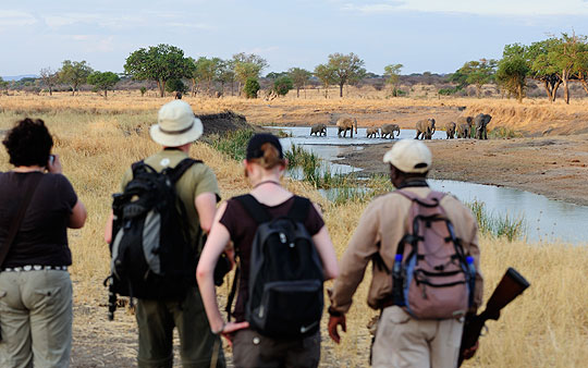 Pirschwanderung - Oliver's Camp, Tarangire Nationalpark. © Foto: Marco Penzel | Outback Africa Erlebnisreisen