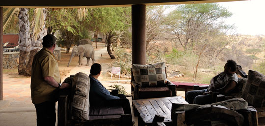 Elefantenbeobachtung vom Sofa aus in der Tarangire Safari Lodge. © Foto: Marco Penzel | Outback Africa Erlebnisreisen