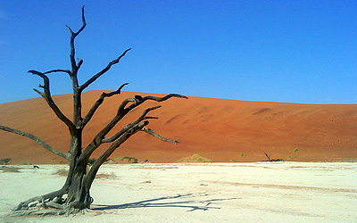 Dead Vlei in Namibia