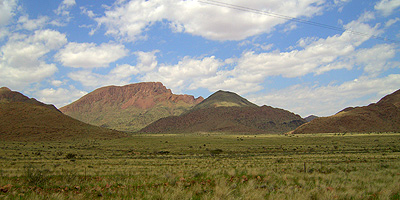 Ergrünte Wüste in Namibia