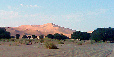 Beim Sossusvlei im Namib Naukluft Nationalpark
