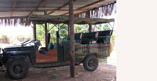 Offener Allradwagen © Foto: Svenja Penzel | Outback Africa Erlebnisreisen Offener Allradwagen © Foto: Svenja Penzel | Outback Africa Erlebnisreisen