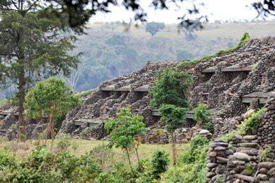 Ngorongoro Serena Lodge © Foto: Marco Penzel | Outback Africa Erlebnisreisen