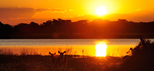 Sonnenuntergang am Shire-Fluß, Liwonde NP, Malawi © Foto: Marco Penzel | Outback Africa Erlebnisreisen