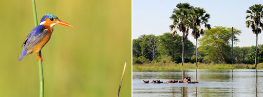 Bootssafari Liwonde NP, Malawi © Fotos: Marco Penzel | Outback Africa Erlebnisreisen