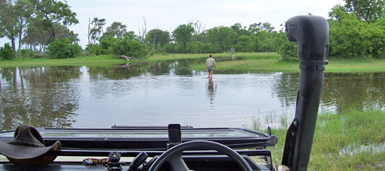 Wie tief ist das Wasser? Auf Safari in Botswana | © Foto: Ulrike Pârvu / Outback Africa Erlebnisreisen