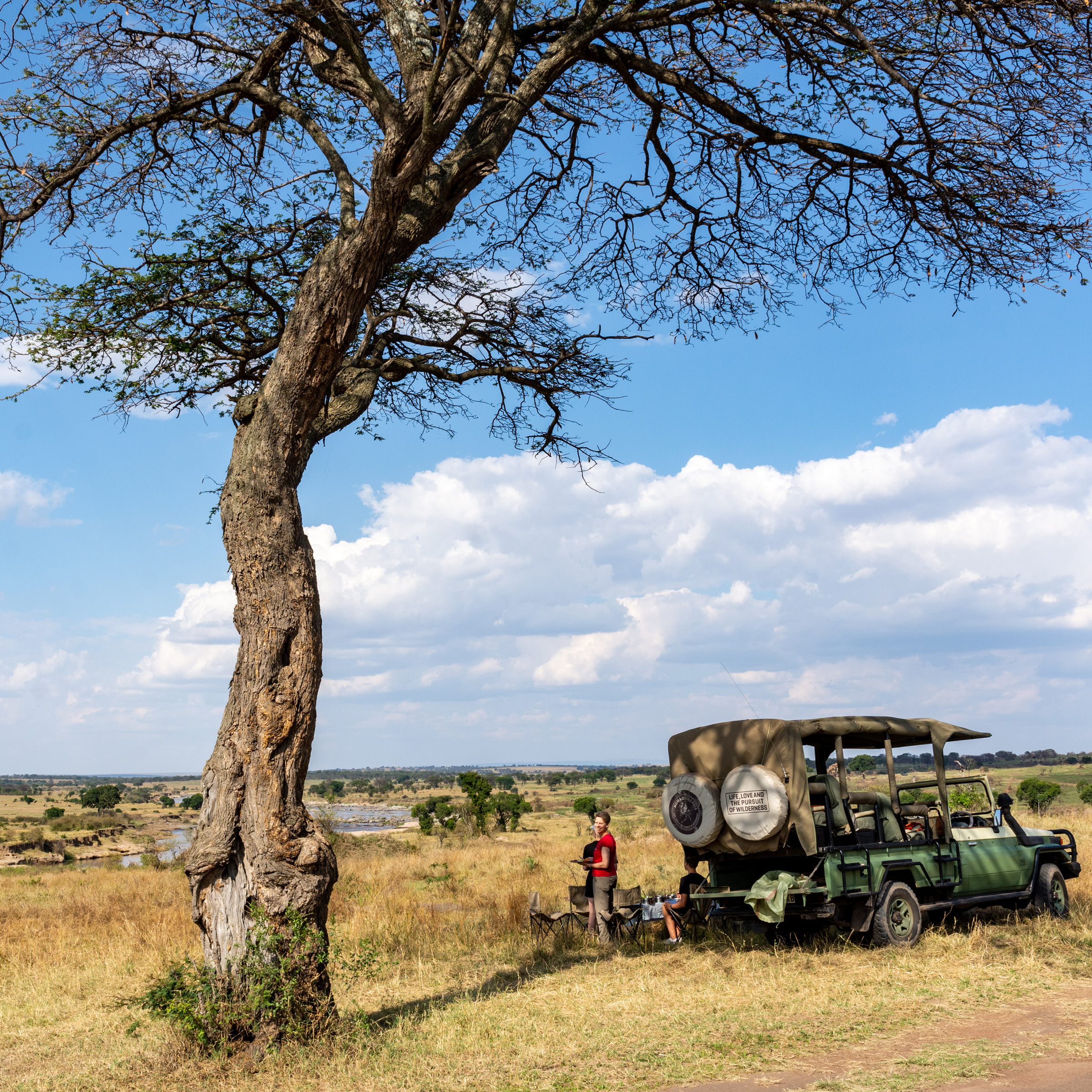 Picknick in der Serengeti