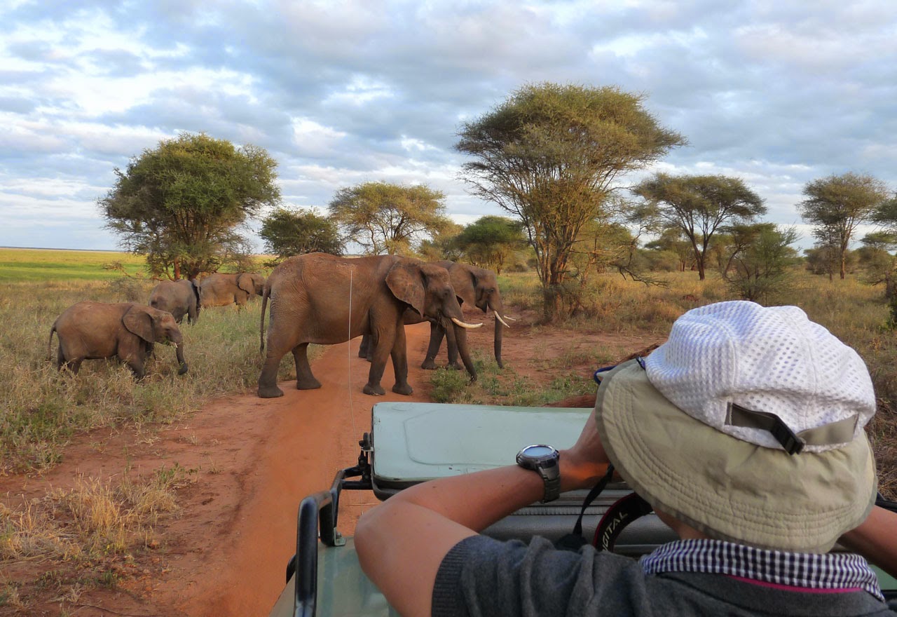 afrika safari gruppenreise