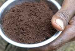 Zerstoßene, geröstete Kaffeebohnen &copy; Foto: Susanne Schlesinger | Outback Africa