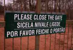 Hlane Royal Nationalpark &copy; Foto: Doreen Schütze | Outback Africa