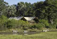 Tubu Tree Camp, Familienzelt &copy; Foto: Dana Allen | Wilderness Safaris