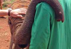 DSWT, Vertrauen &copy; Foto: Svenja Penzel | Outback Africa