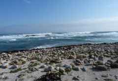 Am Strand der Kaphalbinsel © Foto: Doreen Krausche | Outback Africa