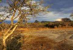 Abendstimmung mit Blick auf die Spitzkoppe &copy; Foto: Leta Vital