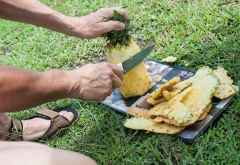 Picknick im Queen Elizabeth Nationalpark &copy; Foto: Marco Penzel | Outback Africa