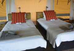 Pioneers Camp, Zeltchalet © Foto: Ulrike Pârvu | Outback Africa Erlebnisreisen