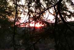 Ants Nest, Sonnenuntergang &copy; Foto: Jens Doering | Outback Africa