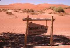 Dead Vlei, von hier geht es nur zu Fuß weiter &copy; Foto: Doreen Schütze | Outback Africa